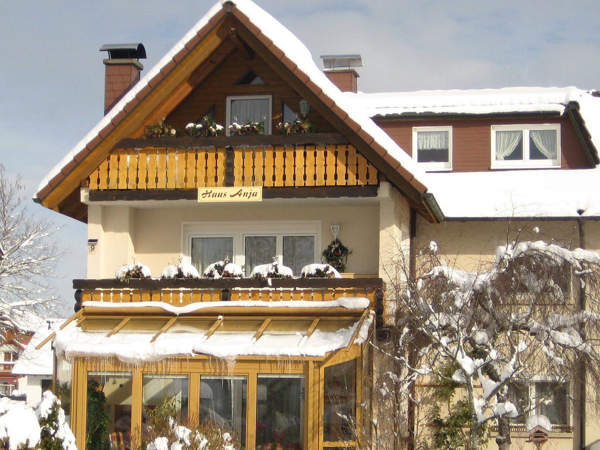 Haus Anja Titisee-Neustadt Exterior foto