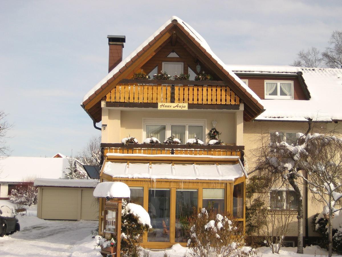 Haus Anja Titisee-Neustadt Exterior foto